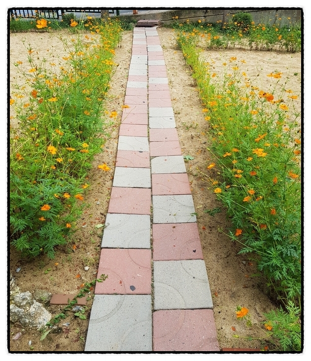  특별한 명절나들이~ 추석연휴 가족들과 가볼만한곳 / 대구 전통시장 알뜰준비