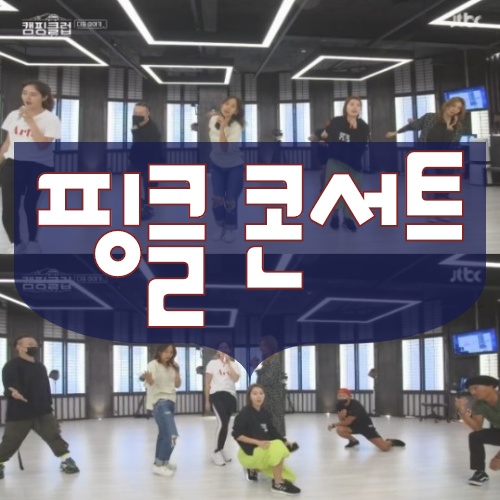  [ 캠핑클럽 ] 핑클 콘서트 드디어 성사될 것인가?