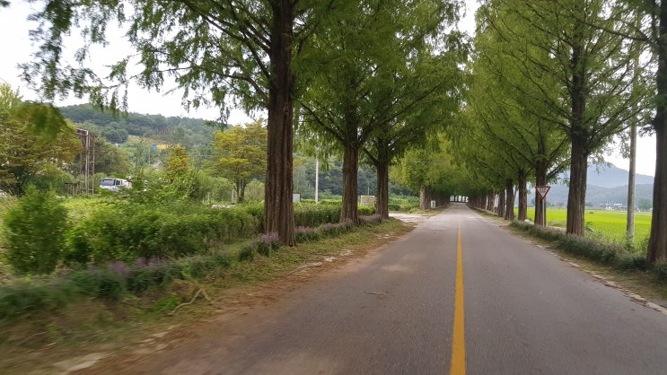  20190908(강천산,순창)