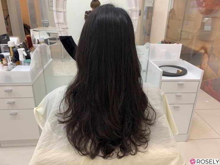 [Rosely 일상] 평촌미용실 추천 프리미엄 서비스 롯데평촌점 '마끼에'