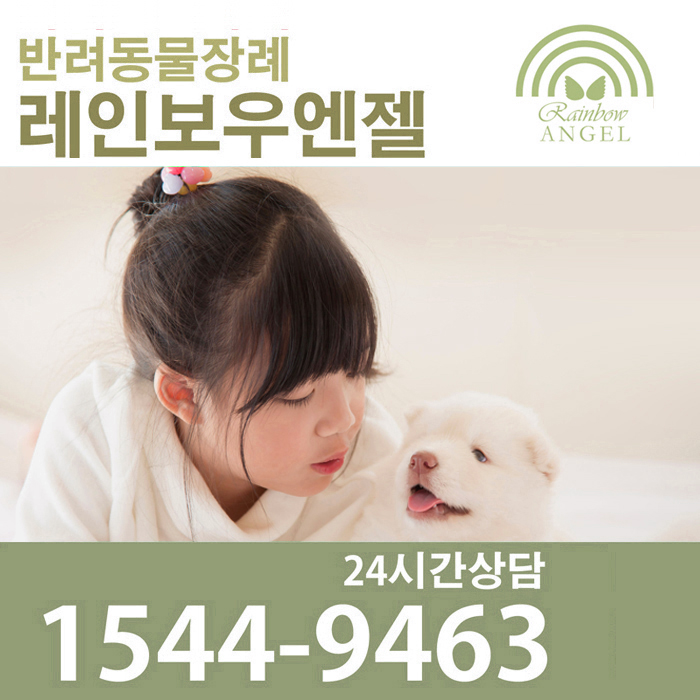  노견 늙은 개나 강아지가 밤새 울 때, 그 원인과 이에 대한 대처법은?