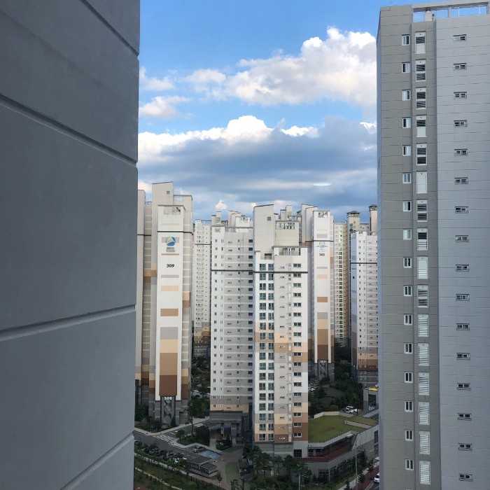  번개장터 톰브라운백로고삼선후드티 구해요