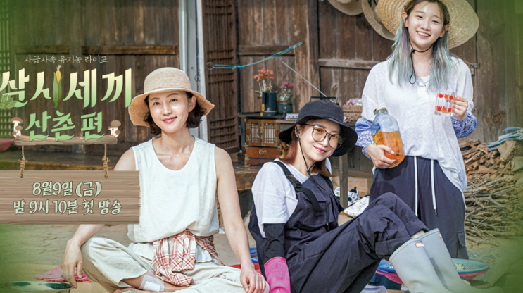  재미로 보는 [삼시세끼-산촌편] 염정아,윤세아,박소담 에니어그램 성격분석 - 에니어그램 강사 최현주