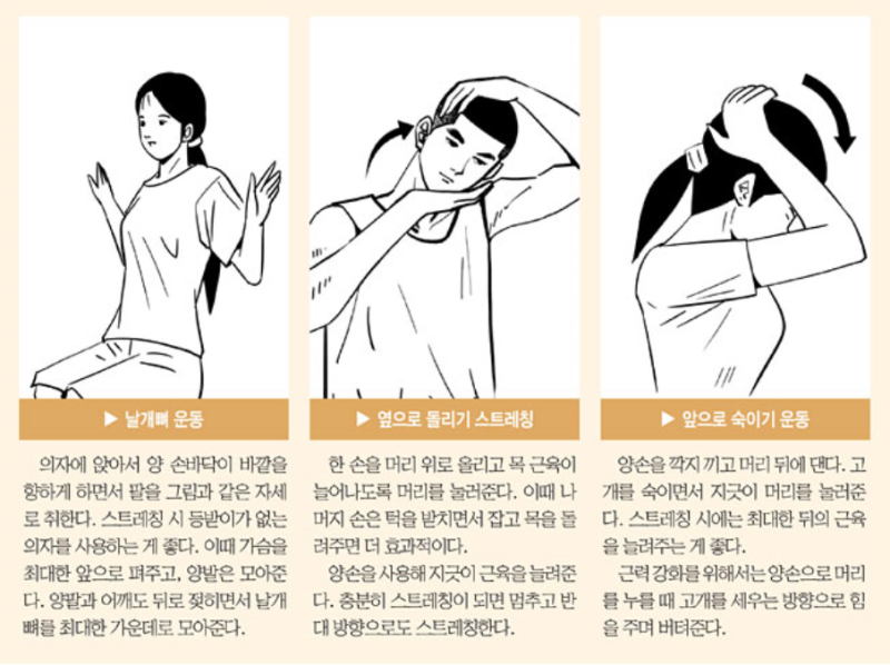목 스트레칭으로 목 스트레스를 줄이다 7