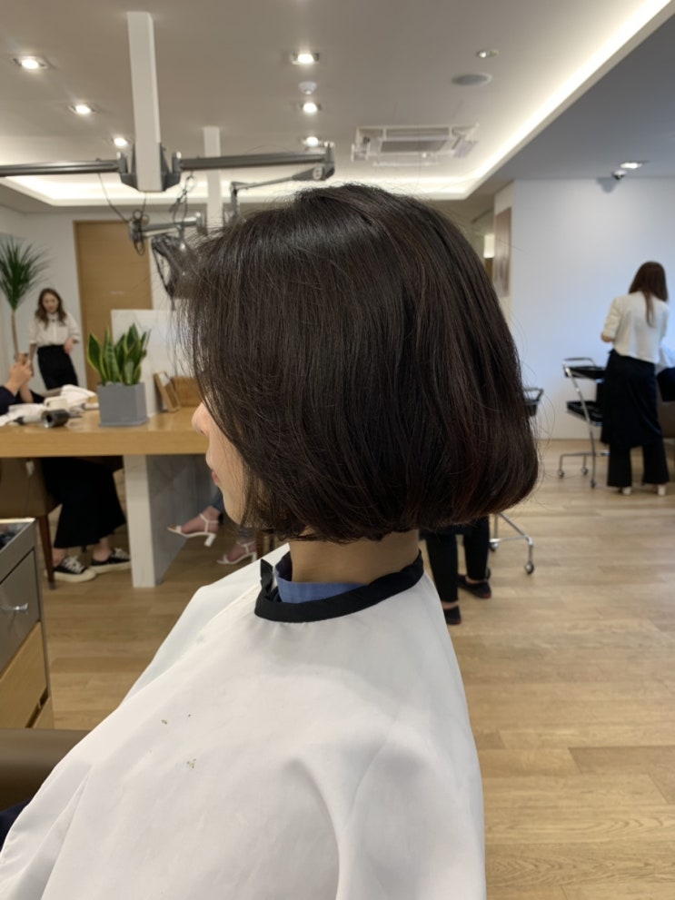  차홍룸 잠실점 정은영실장님께 모즈펌 했어요~