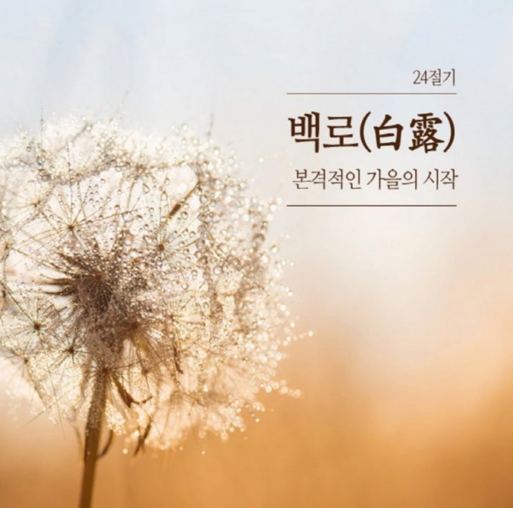  2019년 백로(24절기)