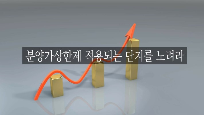  분양가 상한제 로또인가? 