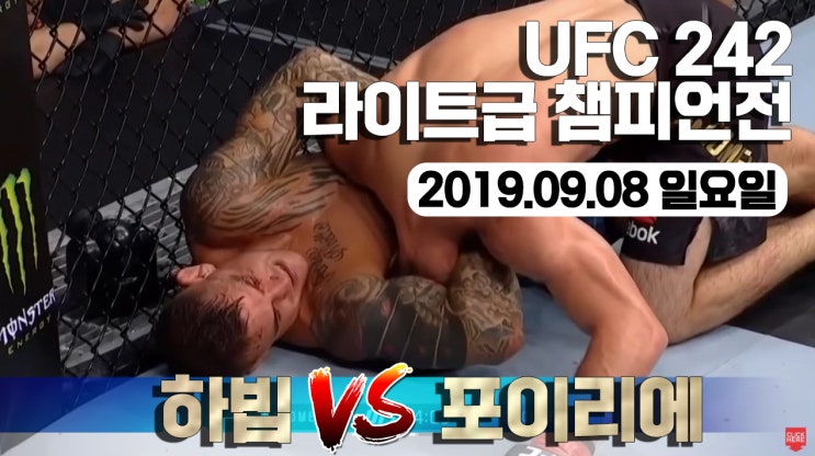  ufc242 하빕누르마고메도프vs저스틴포이리에 라이트급타이틀전 경기영상입수