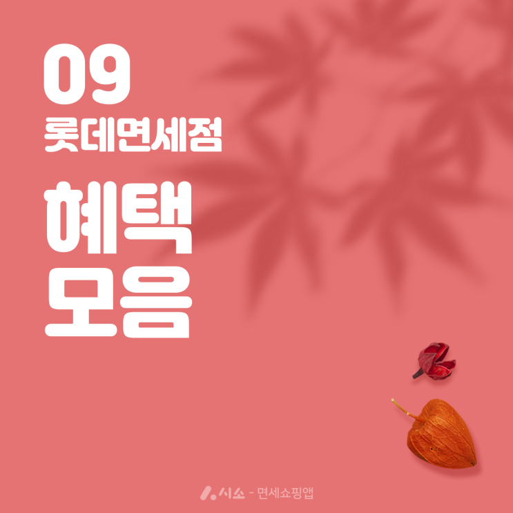  9월 롯데면세점쿠폰 적립금 혜택모음, 시소