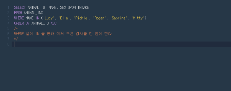  [Programmers/프로그래머스] 루시와 엘라 찾기 - MySQL