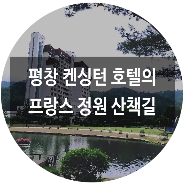  평창 켄싱턴호텔 특별한 정원 구경해볼까?