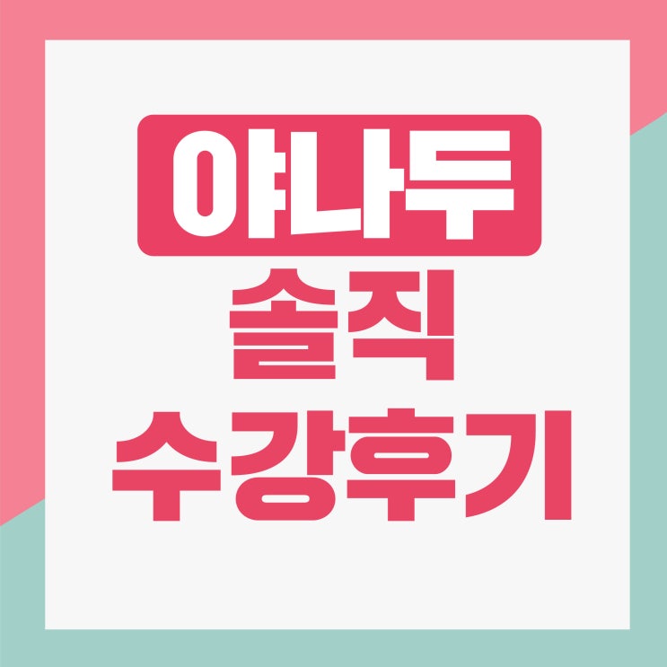  야나두 실력올린 솔직리뷰