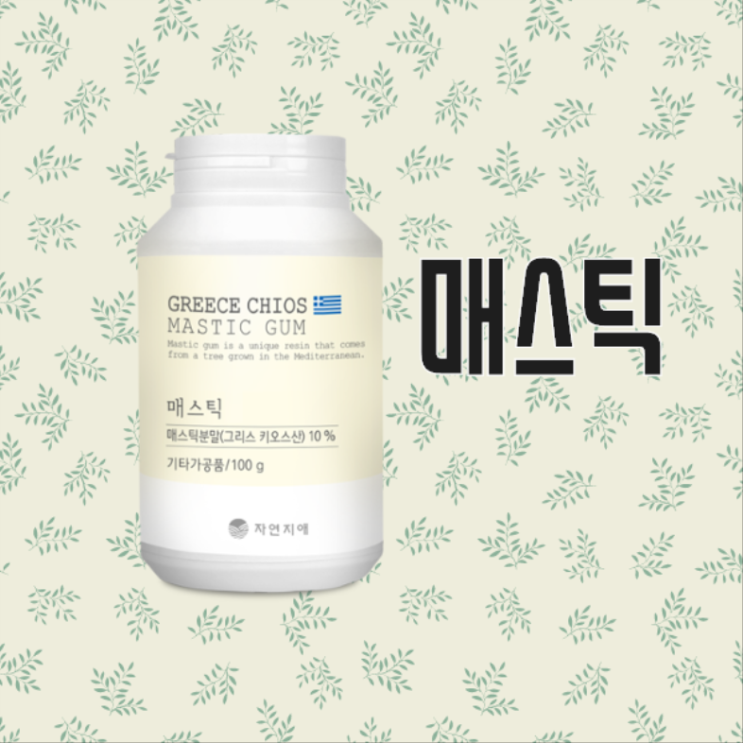  매스틱 검 분말, 가루 효능을 위한 먹는법