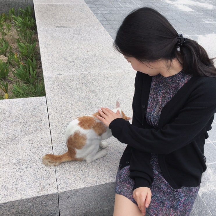  소다용의 네 번째 개 강