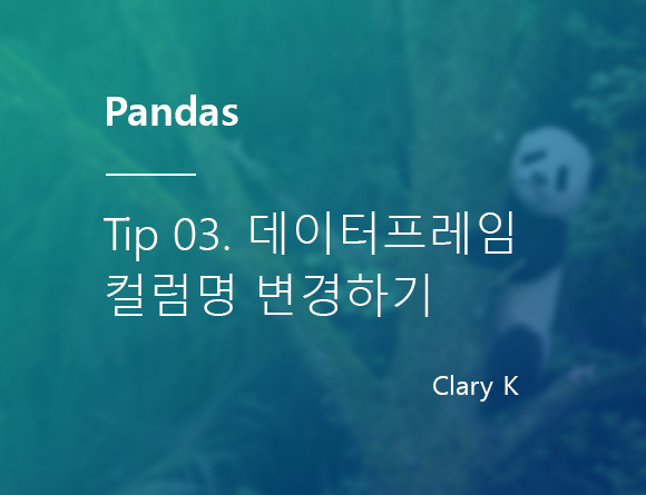 [파이썬] 판다스(pandas) 팁3. 데이터프레임 컬럼명 변경하기