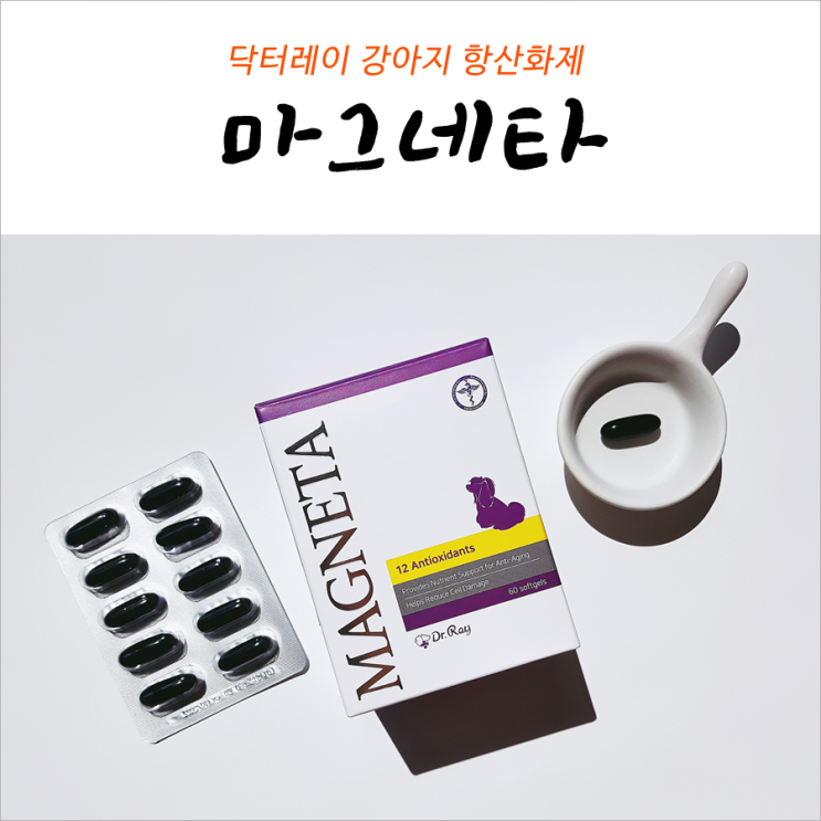  닥터레이 마그네타 강아지 항산화제 w. 펫츄