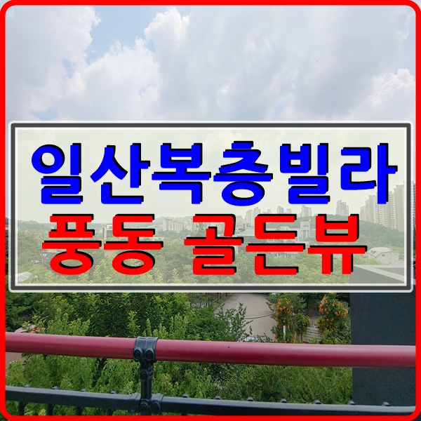  고양시 일산복층빌라 풍동 골든뷰 리뷰