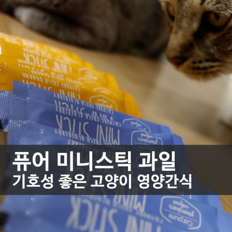  기호성 좋은 고양이 영양간식, 퓨어 미니스틱 과일