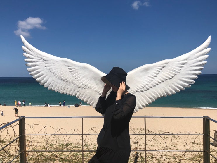  고성-속초-양양 카페 기행 (바다향기, 소울브릿지, 파마씨, 바다지기)