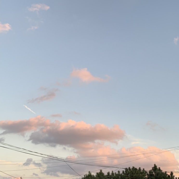  2019 August