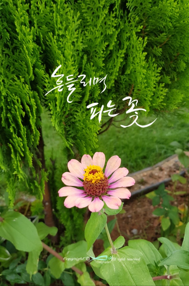  9월 9일