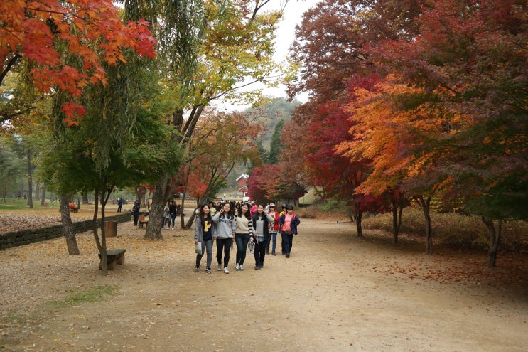  단종애사와 메밀꽃 필 무렵-강원 영월・봉평 역사문학답사