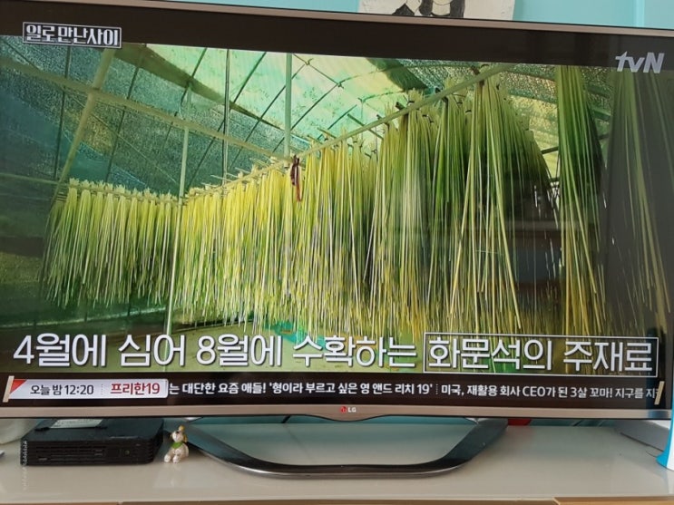  일로만난사이 3회 유희열 정재형출연 강화도령 화문석 왕골작업 재방송 시청