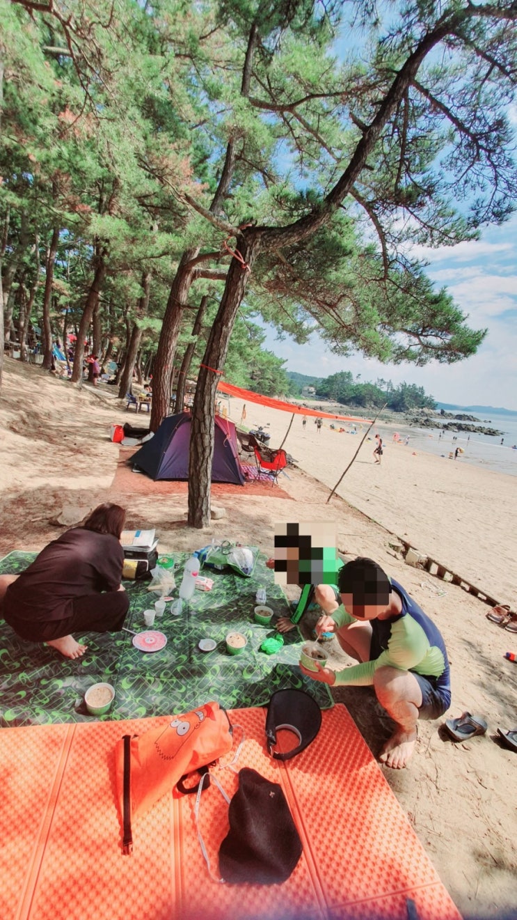  서해안 데이트코스 캠핑족 가족여행으로 추천하는 꾸지나무골 해수욕장 꾸지나무골 캠핑장