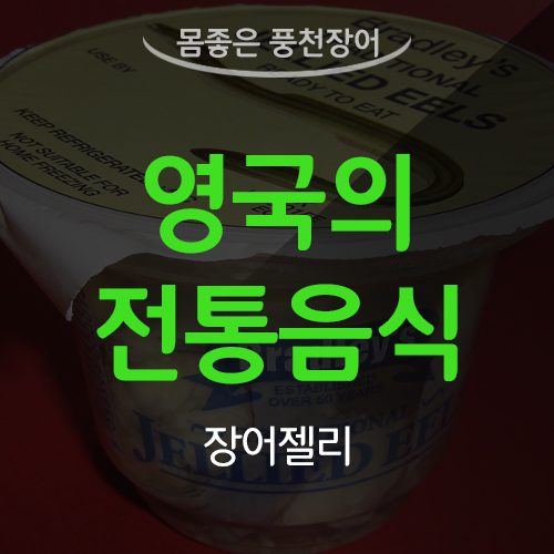  영국남자 유튜브 조쉬 올리의 장어젤리 먹기 빵터짐주의