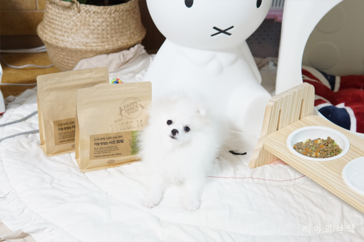  강아지사료 하림펫푸드 가장맛있는시간30일로 밥 안먹는 강아지 특식 만들기