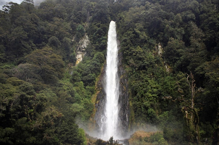 뉴질랜드 관광 Thunder Creek Falls