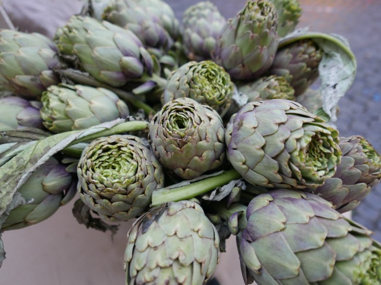  아티초크(Artichoke)_어매이징 아티초크