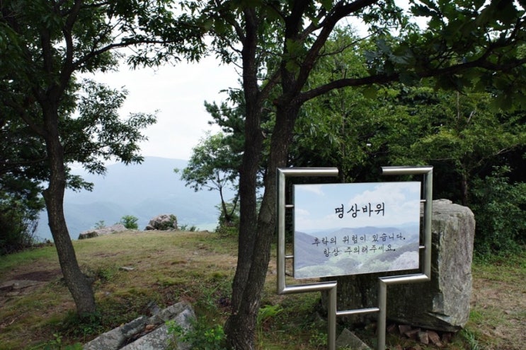  경주 여행코스 화랑의언덕 캠핑클럽 촬영지 경주핫플
