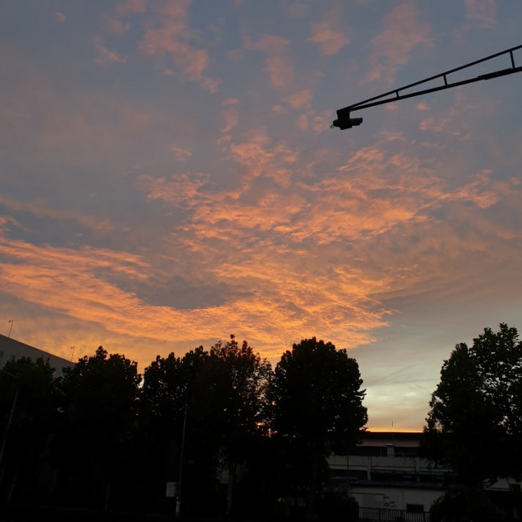  2019.09.02 ~ 2019.09.08 한 주 일상