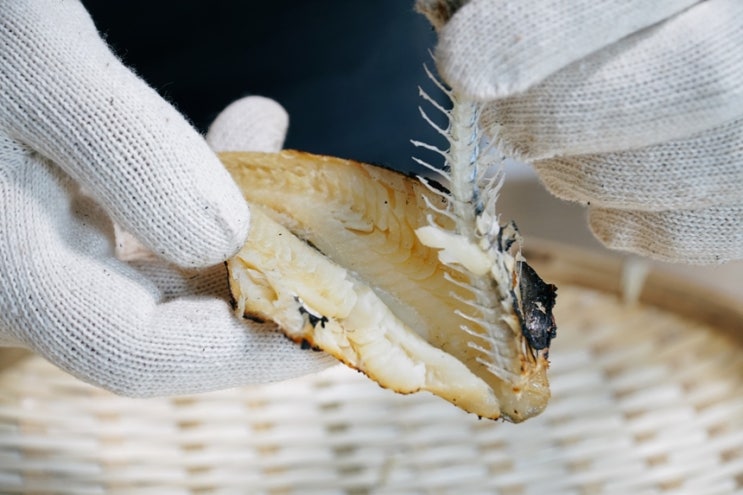  반건조 노가리 맛있게 굽는 방법 노가리 손질 방법