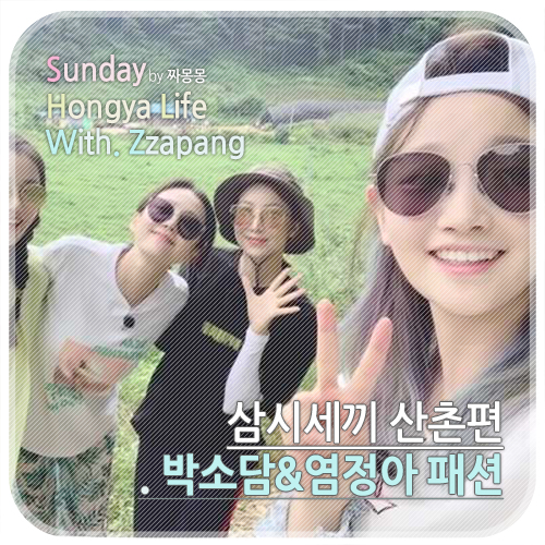  삼시세끼 염정아 안경과 박소담 선글라스 패션 프로젝트 프로덕트 투명안경 깔끔!