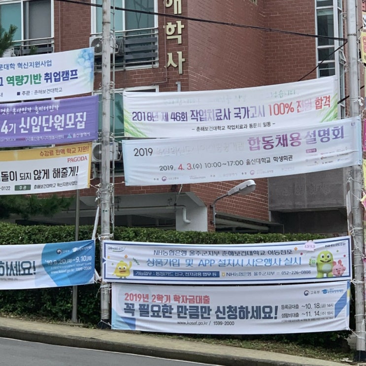  [N돌핀 7기 울산팀]고래고래 울산 질러 8/28 춘해보건대학교 찾아가는 이동점포 & 범서고등학교 청소년동아리