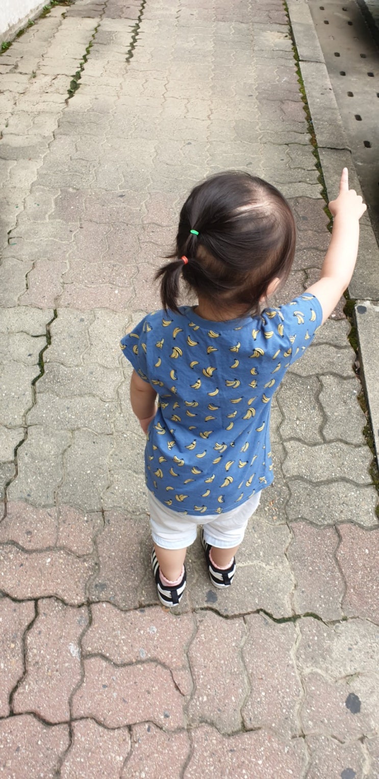 daily)연블리 일상