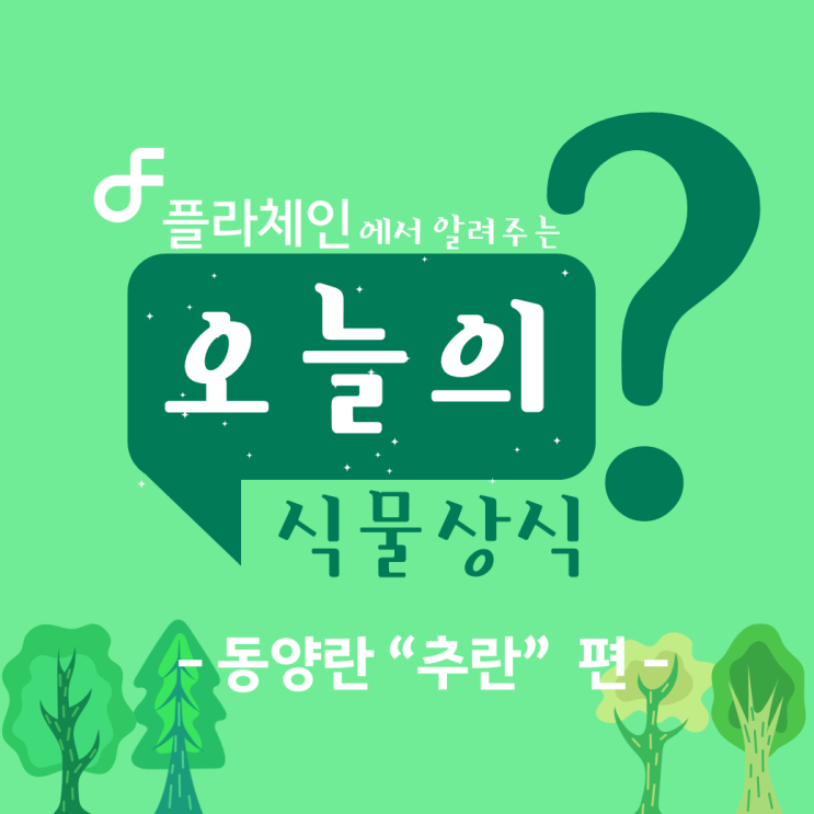  [꽃배달 창업 플라체인] 오늘의 식물 - 동양란(추란)