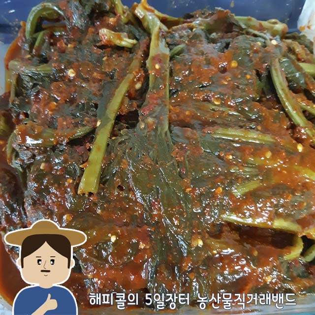  다양한 갓김치 드셔보세요 여수 산지직송