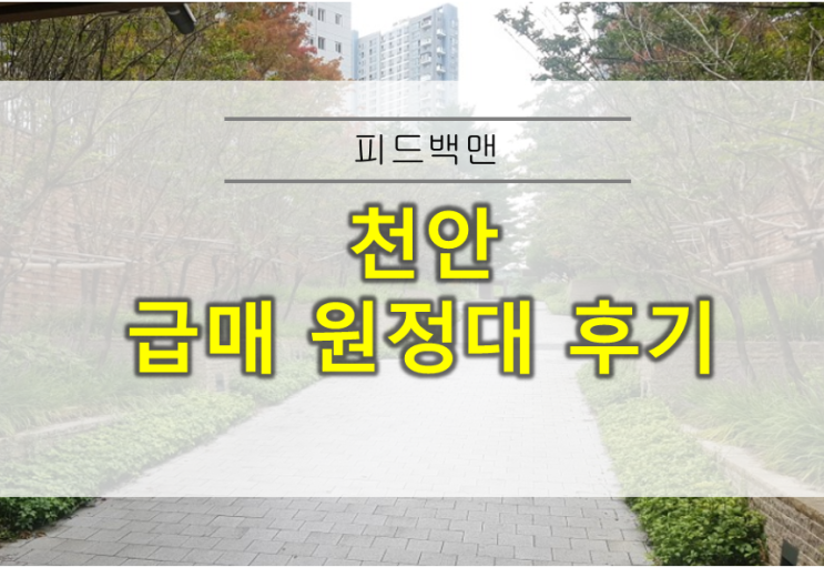  천안 임장 급매 원정대 후기