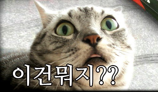  [병원마케팅/원스텝원헌드레드] 요양병원을 찾는게 이렇게 힘든 일이었나..??