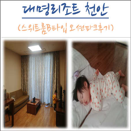  대명리조트 천안 스위트룸B타입 솔직후기 오션파크 준비물