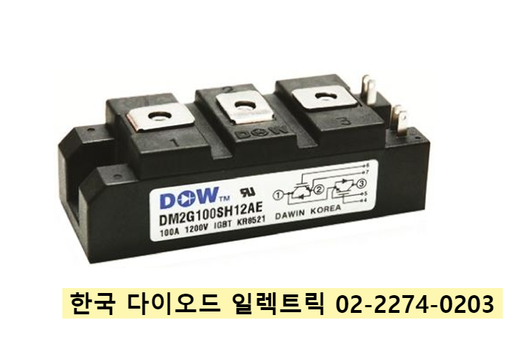 DM2G100SH6N 판매중 DM2G200SH6N 다윈 DAWIN IGBT 정품 판매점