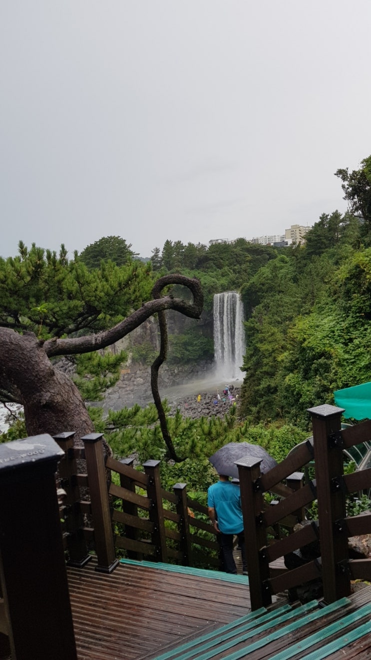  제주도 가족여행 4