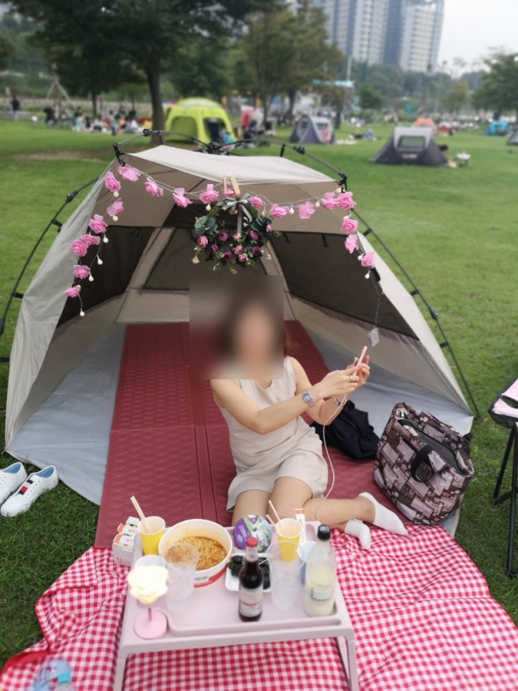 반포한강공원텐트대여, 반포한강공원돗자리대여/어서와 한국이지? 외국인친구와 특별한 하루 (FEAT. 처량함 BUT 성공적) 반포한강공원텐트대여, 반포한강공원돗자리대여/어서와 한국이지? 외국인친구와 특별한 하루 (FEAT. 처량함 BUT 성공적)