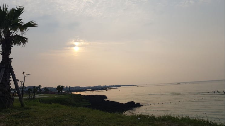  함덕해수욕장 제주 북쪽 해변