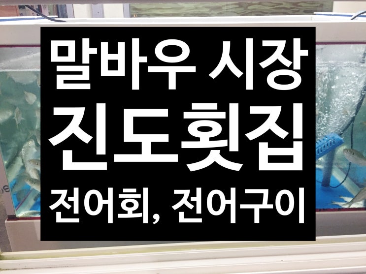 전대근처 횟집 말바우시장 진도횟집 저렴하게 회 먹을 수 있는 곳!(전어구이,전어회)