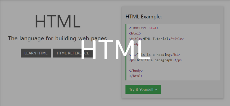 비전공자의 개발자 소통 방법 - HTML 편