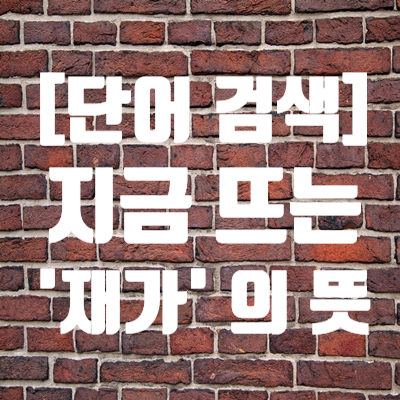  [단어 검색] '재가' 의 뜻이 뭘까요?